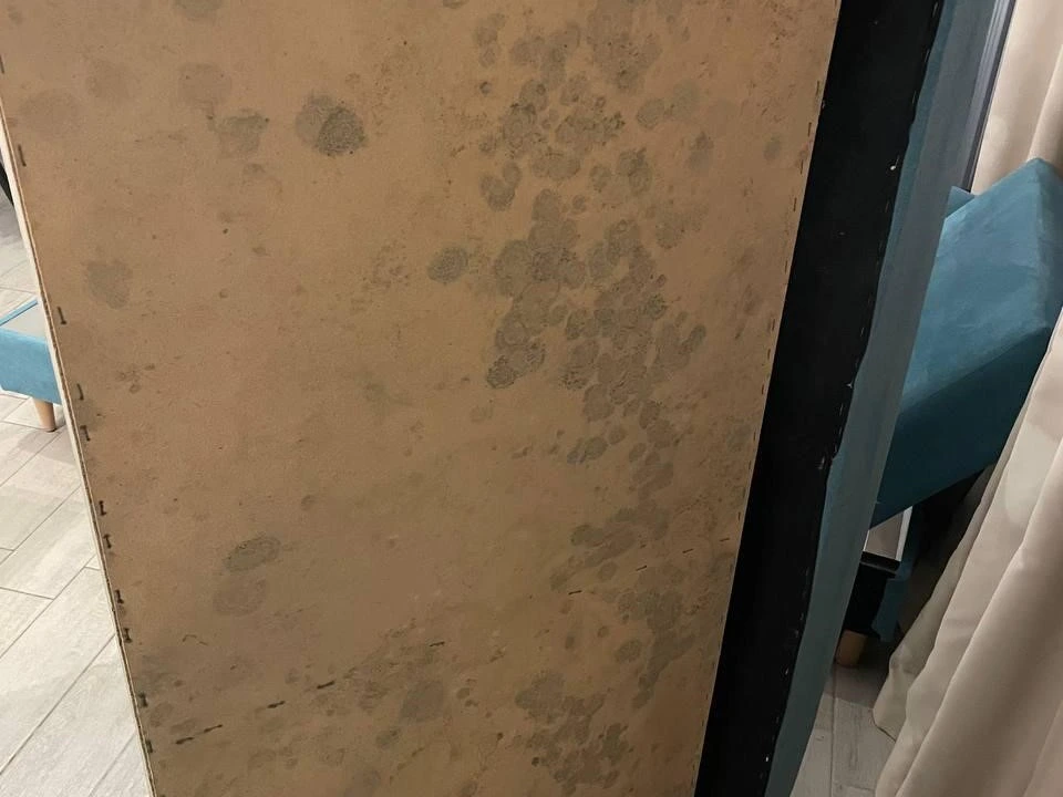 Mucegai pe structura de lemn sub canapea, într-o zonă ascunsă cu aer stagnant