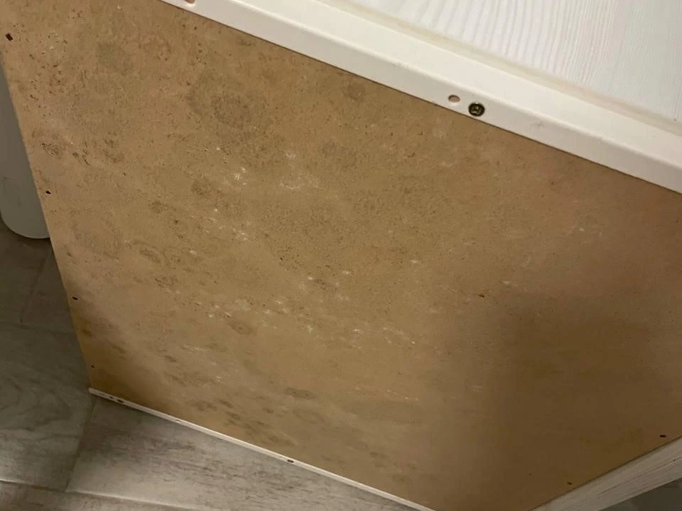 Mucegai pe fundul unui sertar din dulap, într-o zonă cu aer stagnant